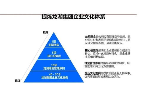 龍湖企業(yè)管理與運營精細化管理